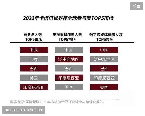 精准对齐用户观赛画像能够弥补世界杯版权溢价带来的成本缺口吗